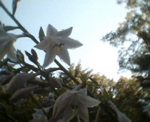 2008-07-17-174452-21 2.jpg